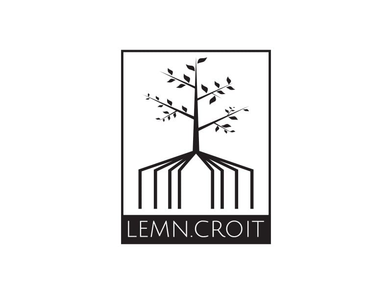 lemn.croit - 